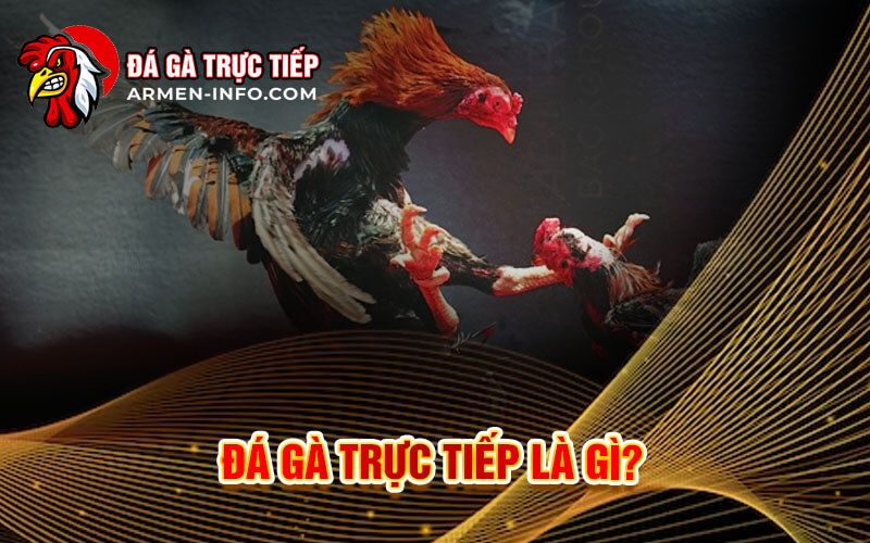 Giới Thiệu Về Trực Tiếp Đá Gà 88